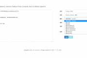 最新微软语音合成网页版源码 影视解说配音网页版